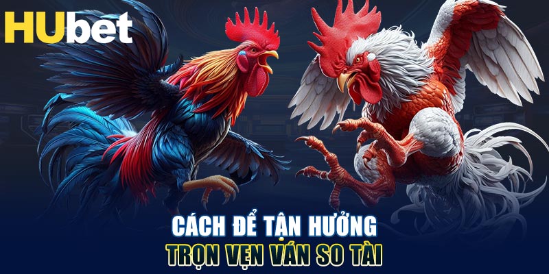 Cách để tận hưởng trọn vẹn ván so tài